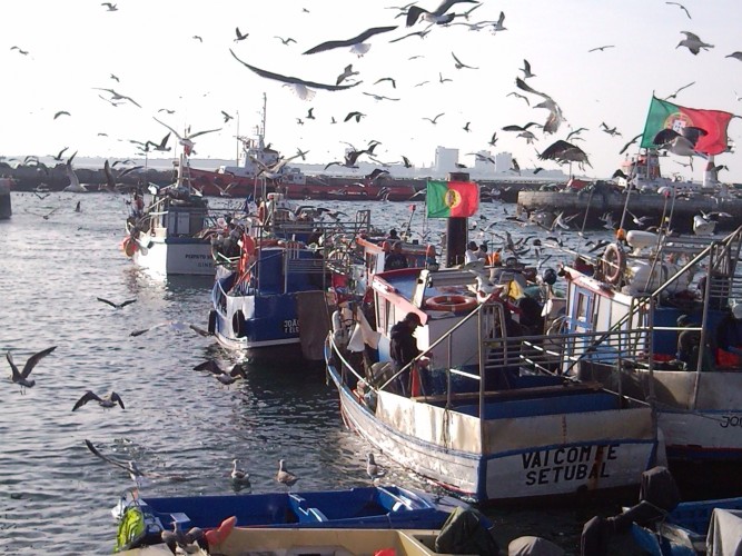 Doca de Pesca- Roteiro Setubal