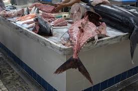 Mercado do Livramento- Roteiro Setubal